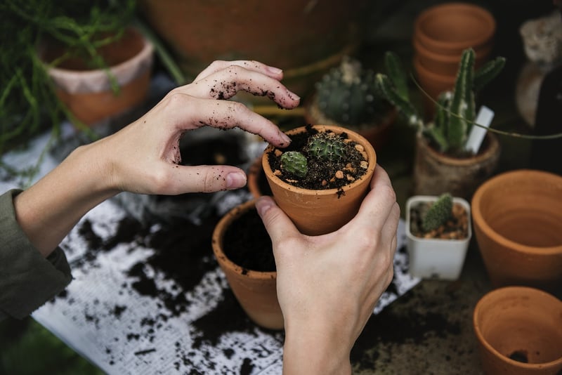 Repurposed Garden Projects